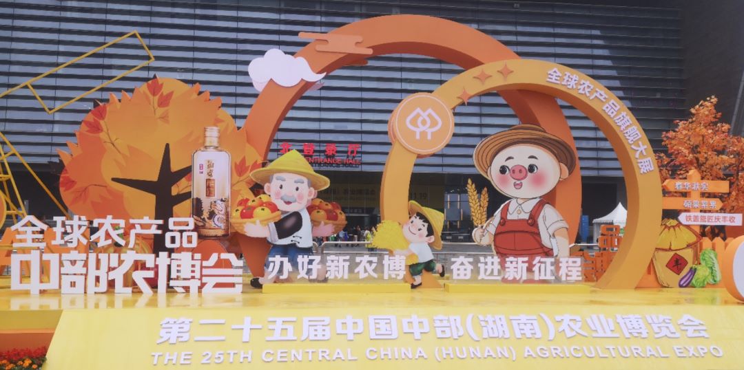 1731831078999891.jpg 1.jpg